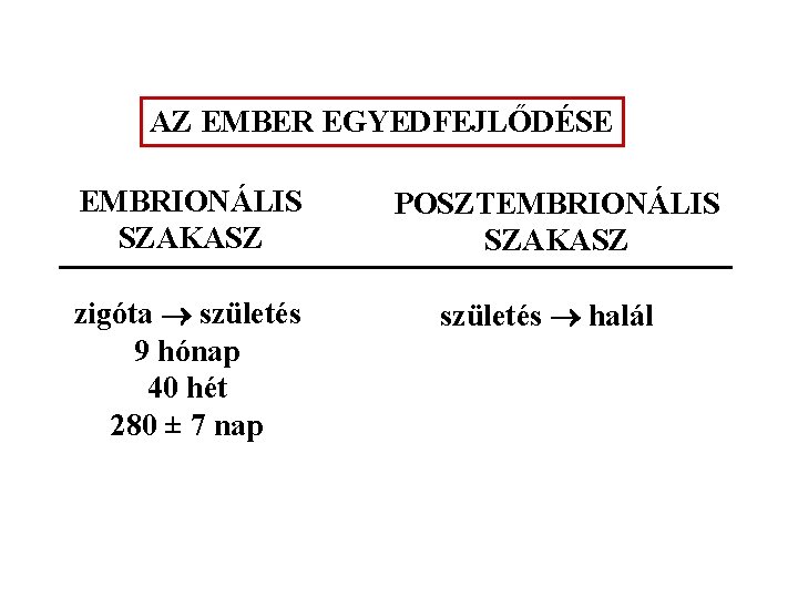 AZ EMBER EGYEDFEJLŐDÉSE EMBRIONÁLIS SZAKASZ zigóta születés 9 hónap 40 hét 280 ± 7