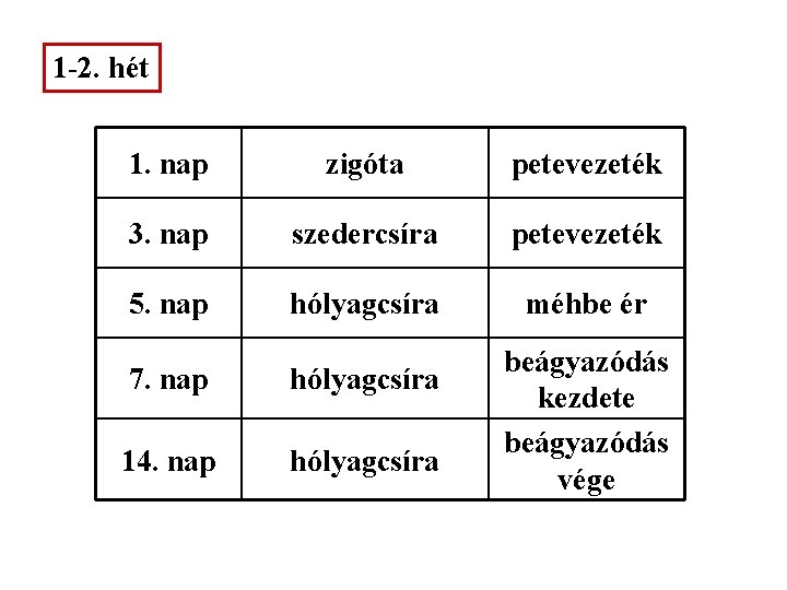 1 -2. hét 1. nap zigóta petevezeték 3. nap szedercsíra petevezeték 5. nap hólyagcsíra