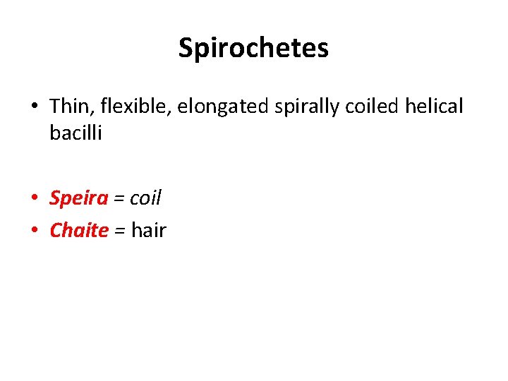 Spirochetes • Thin, flexible, elongated spirally coiled helical bacilli • Speira = coil •