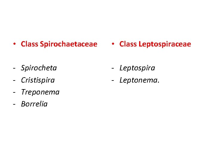 Classification of Spirochetes • Class Spirochaetaceae • Class Leptospiraceae - - Leptospira - Leptonema.