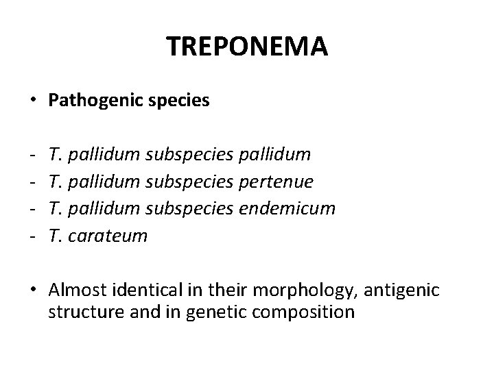 TREPONEMA • Pathogenic species - T. pallidum subspecies pallidum T. pallidum subspecies pertenue T.
