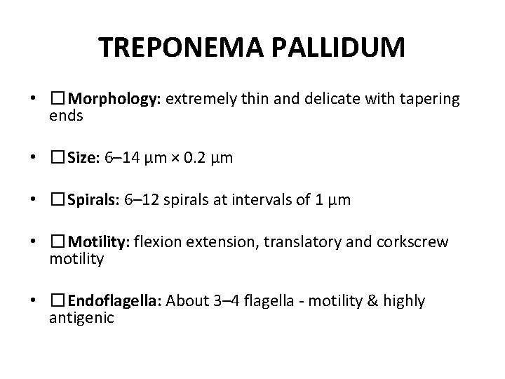 TREPONEMA PALLIDUM • �Morphology: extremely thin and delicate with tapering ends • �Size: 6–