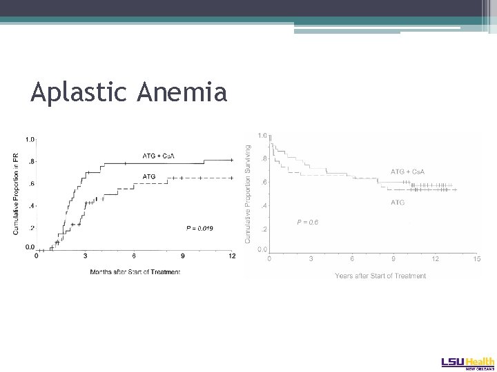 Aplastic Anemia 