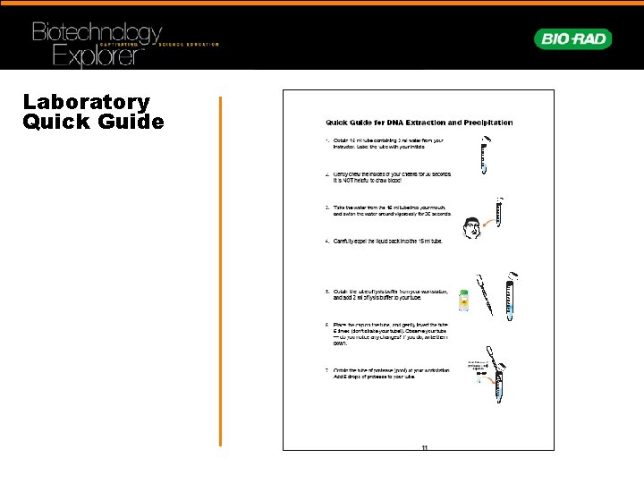 Laboratory Quick Guide 