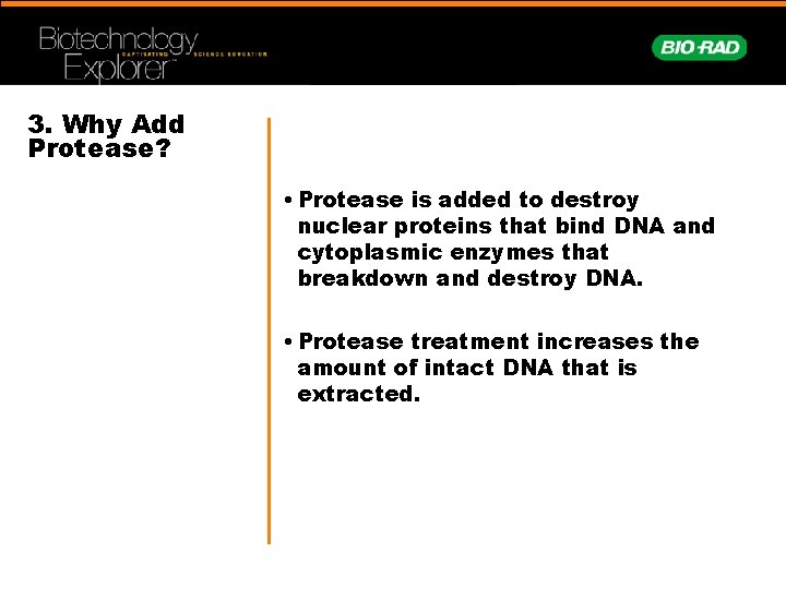 3. Why Add Protease? • Protease is added to destroy nuclear proteins that bind