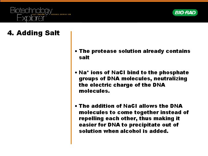 4. Adding Salt • The protease solution already contains salt • Na+ ions of