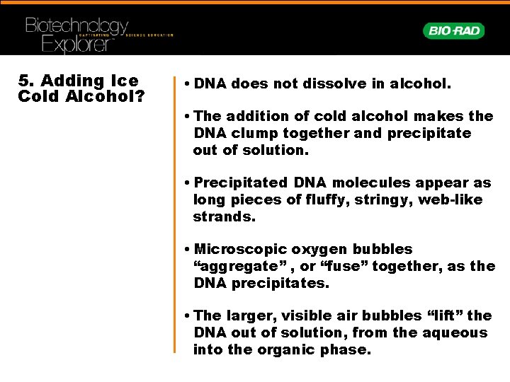 5. Adding Ice Cold Alcohol? • DNA does not dissolve in alcohol. • The