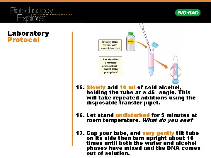 Laboratory Protocol 15. Slowly add 10 ml of cold alcohol, holding the tube at