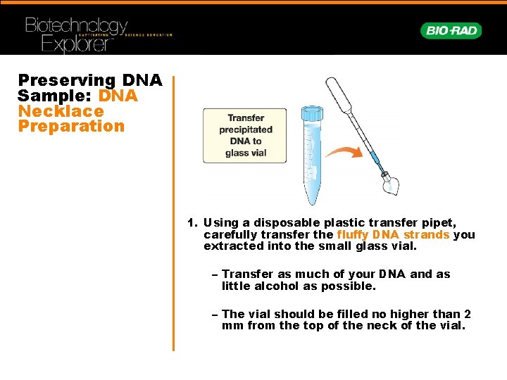 Preserving DNA Sample: DNA Necklace Preparation 1. Using a disposable plastic transfer pipet, carefully