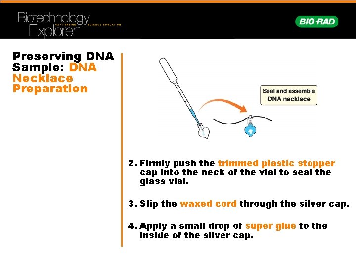 Preserving DNA Sample: DNA Necklace Preparation 2. Firmly push the trimmed plastic stopper cap