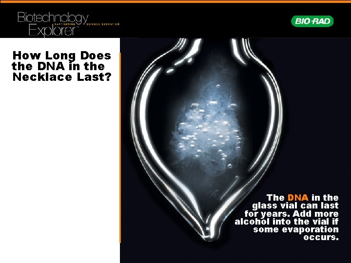 How Long Does the DNA in the Necklace Last? The DNA in the glass