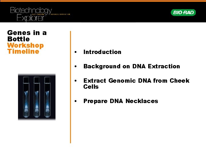 Genes in a Bottle Workshop Timeline • Introduction • Background on DNA Extraction •