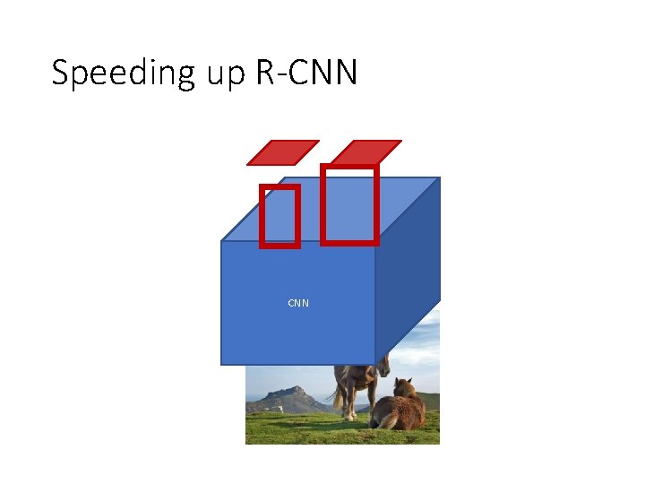 Speeding up R-CNN 