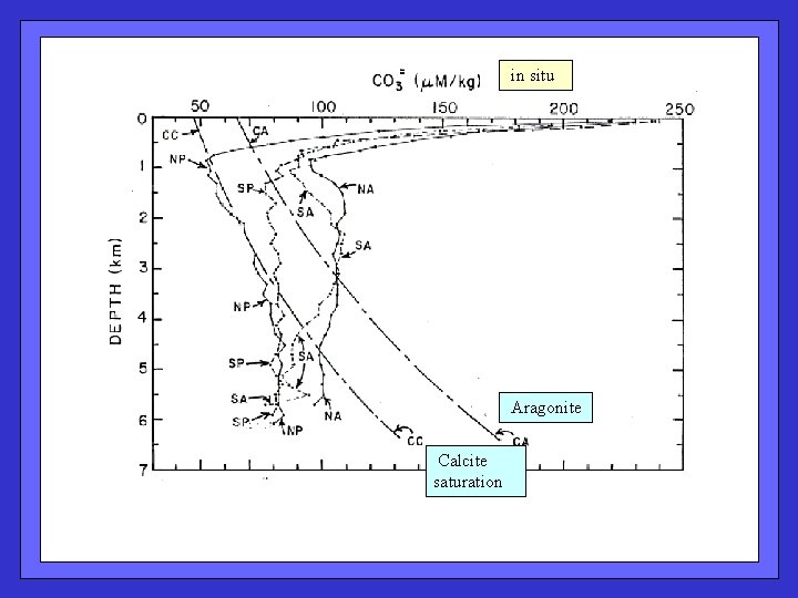  in situ Aragonite Calcite saturation 