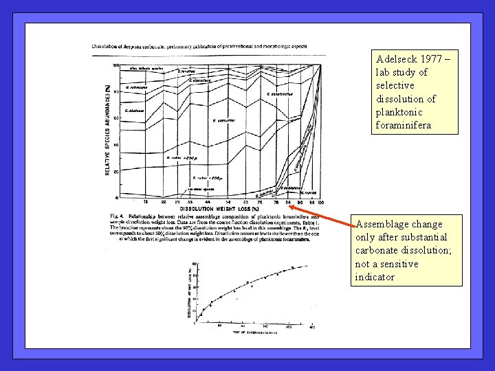 Adelseck 1977 – lab study of selective dissolution of planktonic foraminifera Assemblage change only