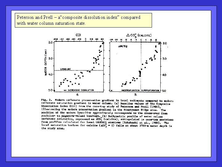 Peterson and Prell – a“composite dissolution index” compared with water column saturation state. 