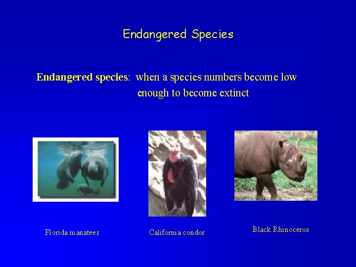 Endangered Species Endangered species: when a species numbers become low enough to become extinct