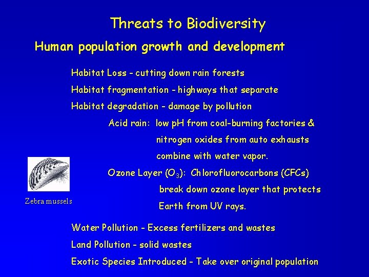Threats to Biodiversity Human population growth and development Habitat Loss - cutting down rain