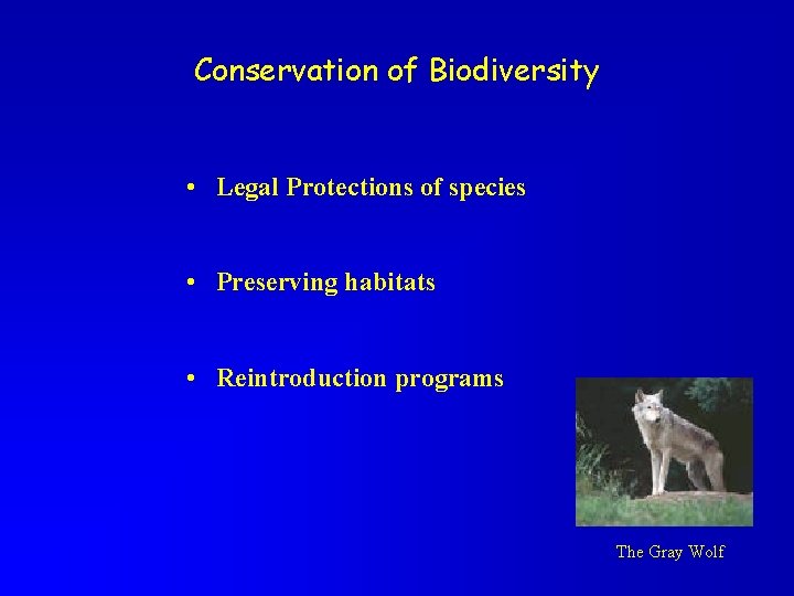 Conservation of Biodiversity • Legal Protections of species • Preserving habitats • Reintroduction programs