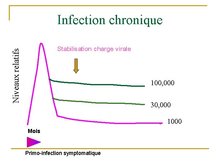 Infection chronique Niveaux relatifs Stabilisation charge virale 100, 000 30, 000 1000 Mois Primo-infection
