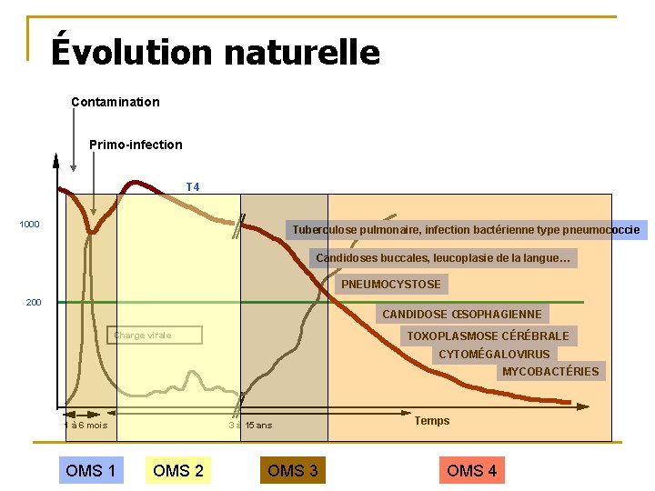 Évolution naturelle Contamination Primo-infection T 4 1000 Tuberculose pulmonaire, infection bactérienne type pneumococcie Candidoses