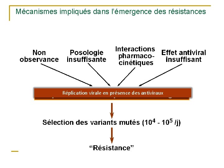 Mécanismes impliqués dans l’émergence des résistances Réplication virale en présence des antiviraux 