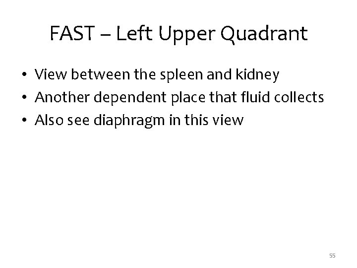 FAST – Left Upper Quadrant • View between the spleen and kidney • Another