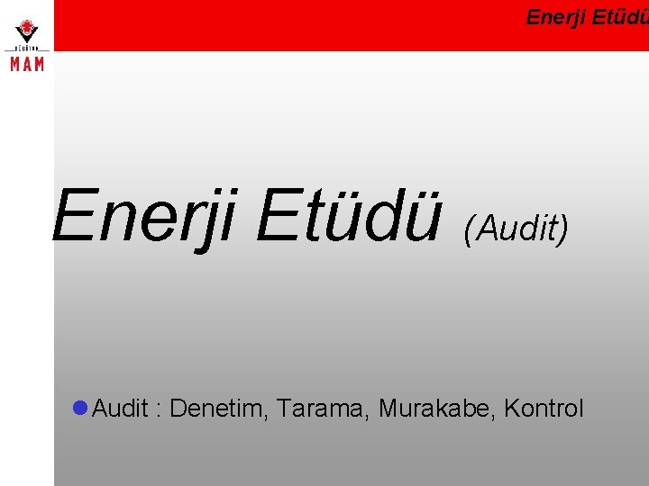 Enerji Etüdü (Audit) l. Audit : Denetim, Tarama, Murakabe, Kontrol 