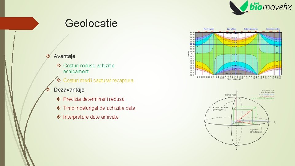 Geolocatie Avantaje Costuri reduse achizitie echipament Costuri medii captura/ recaptura Dezavantaje Precizia determinarii redusa