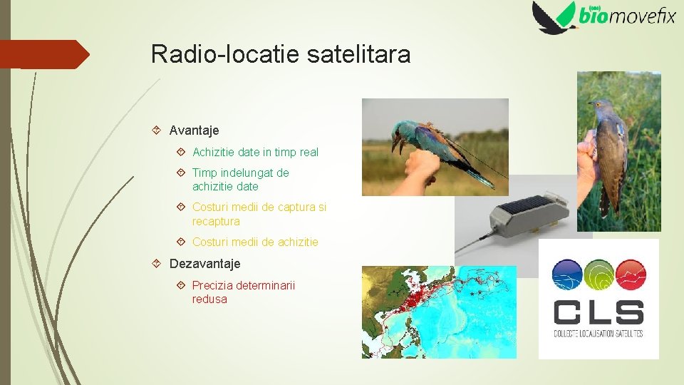 Radio-locatie satelitara Avantaje Achizitie date in timp real Timp indelungat de achizitie date Costuri