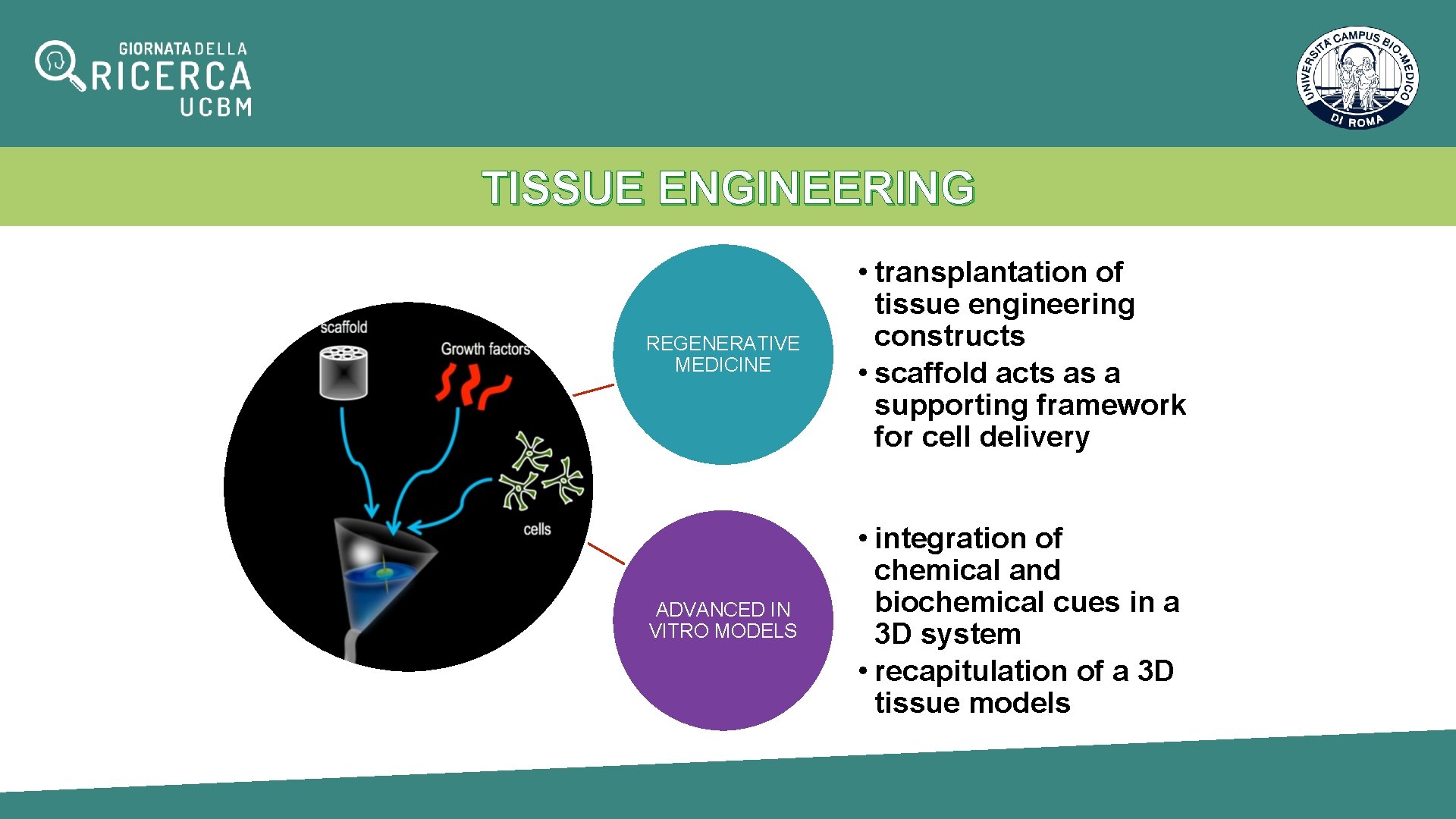 TISSUE ENGINEERING REGENERATIVE MEDICINE • transplantation of tissue engineering constructs • scaffold acts as