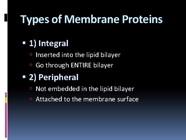 Types of Membrane Proteins 1) Integral Inserted into the lipid bilayer Go through ENTIRE