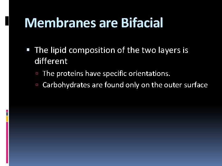 Membranes are Bifacial The lipid composition of the two layers is different The proteins