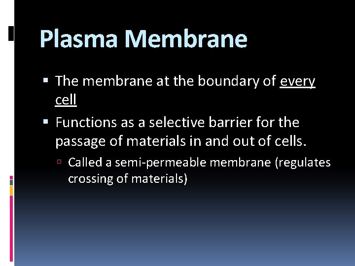 Plasma Membrane The membrane at the boundary of every cell Functions as a selective