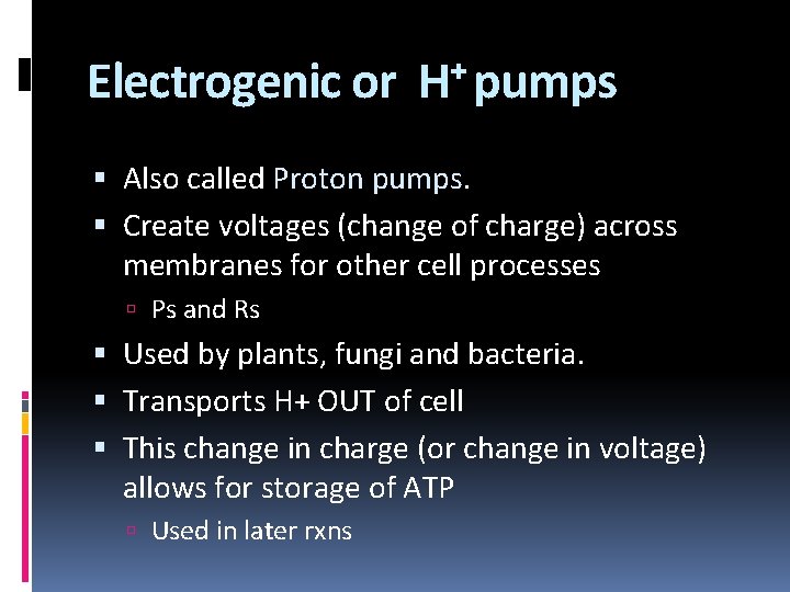 Electrogenic or + H pumps Also called Proton pumps Create voltages (change of charge)