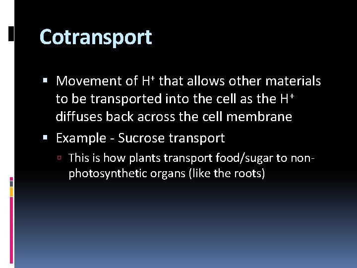 Cotransport Movement of H+ that allows other materials to be transported into the cell