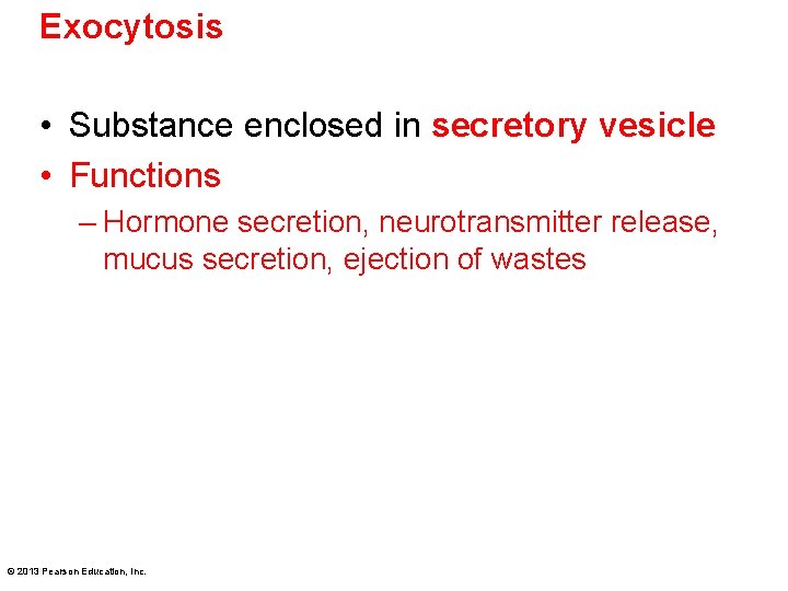 Exocytosis • Substance enclosed in secretory vesicle • Functions – Hormone secretion, neurotransmitter release,