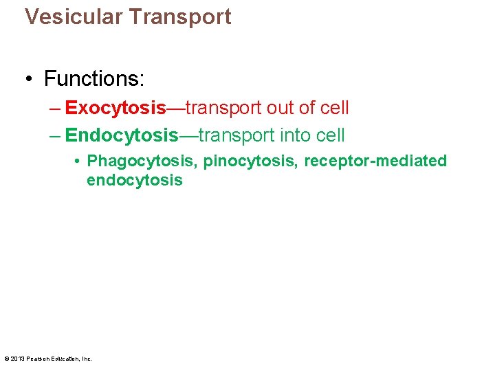 Vesicular Transport • Functions: – Exocytosis—transport out of cell – Endocytosis—transport into cell •
