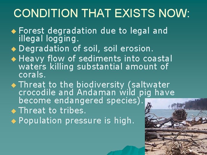 CONDITION THAT EXISTS NOW: u Forest degradation due to legal and illegal logging. u