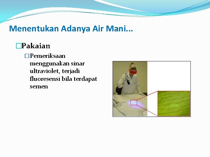 Menentukan Adanya Air Mani. . . �Pakaian �Pemeriksaan menggunakan sinar ultraviolet, terjadi fluoresensi bila
