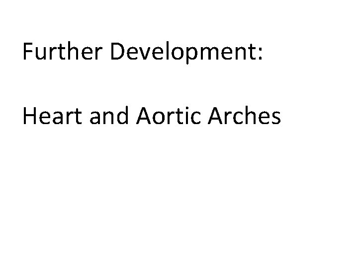 Further Development: Heart and Aortic Arches Further Development: Heart and Aortic Arches