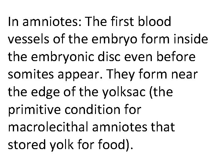 In amniotes: The first blood vessels of the embryo form inside the embryonic disc In amniotes: The first blood vessels of the embryo form inside the embryonic disc