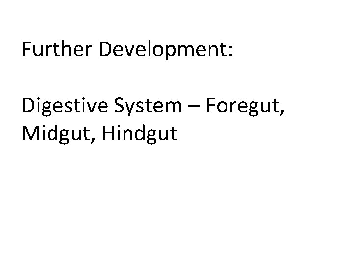 Further Development: Digestive System – Foregut, Midgut, Hindgut Further Development: Digestive System – Foregut, Midgut, Hindgut
