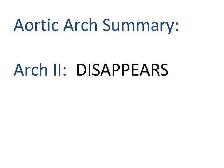 Aortic Arch Summary: Arch II: DISAPPEARS Aortic Arch Summary: Arch II: DISAPPEARS