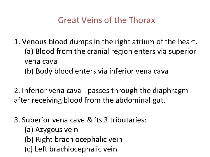 Great Veins of the Thorax 1. Venous blood dumps in the right atrium of Great Veins of the Thorax 1. Venous blood dumps in the right atrium of