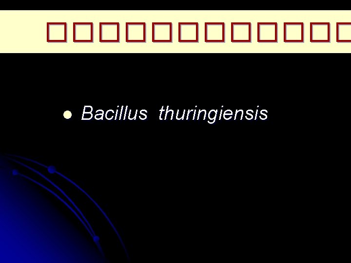 ������ l Bacillus thuringiensis 