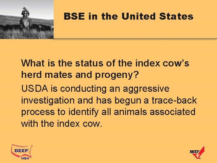 BSE in the United States What is the status of the index cow’s herd