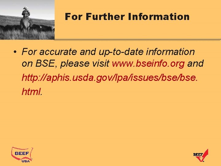 For Further Information • For accurate and up-to-date information on BSE, please visit www.