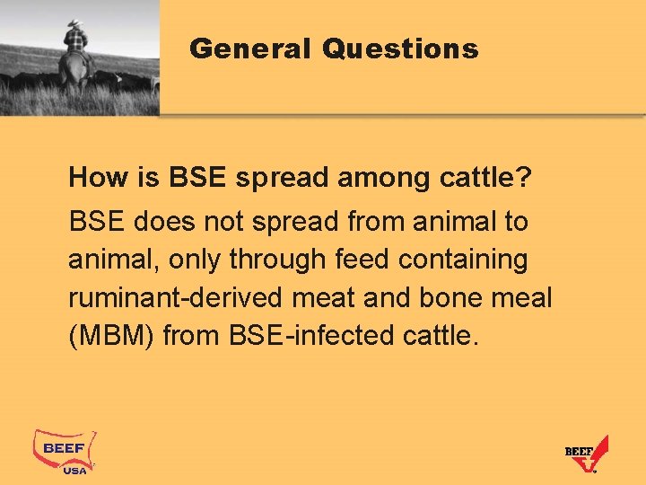 General Questions How is BSE spread among cattle? BSE does not spread from animal