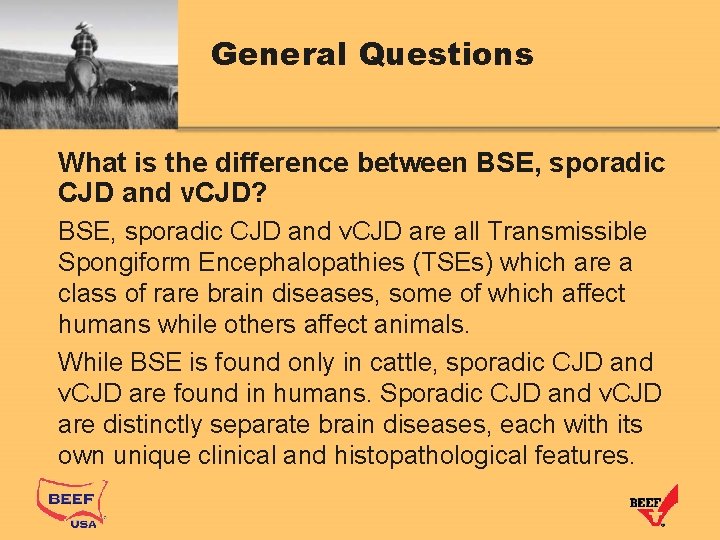 General Questions What is the difference between BSE, sporadic CJD and v. CJD? BSE,